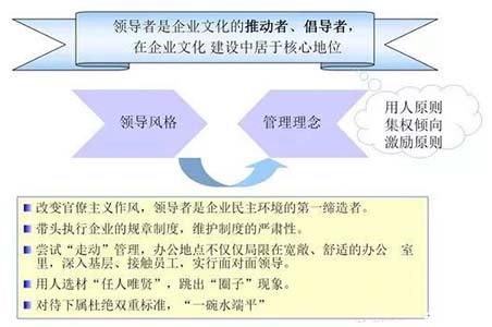 企业文化建设的要点